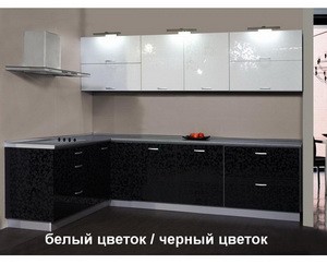     EvoGloss P207  