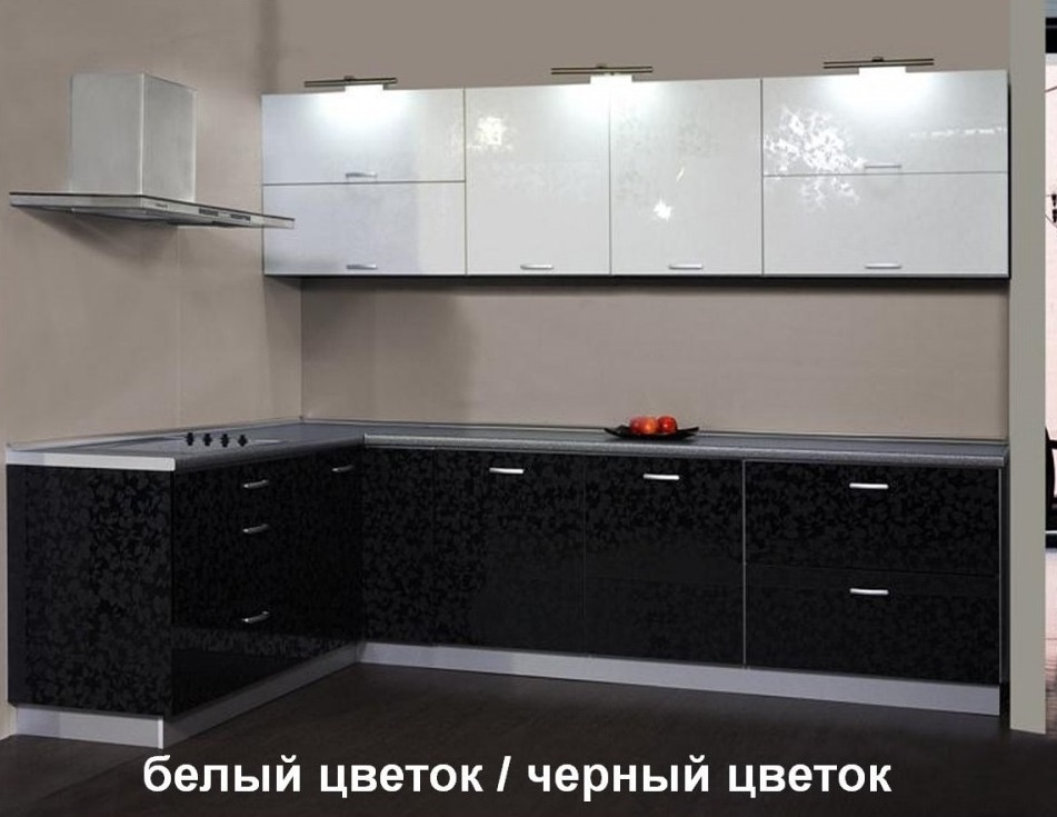  EvoGloss P-207  /     