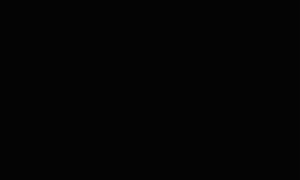   EvoGloss P104  