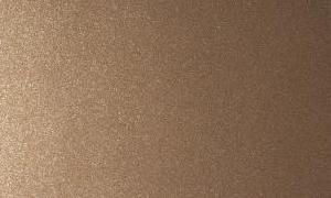   EvoGloss P210  
