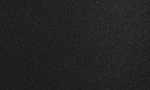   EvoGloss P231  
