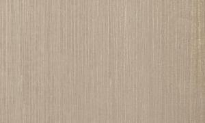   EvoGloss P245  