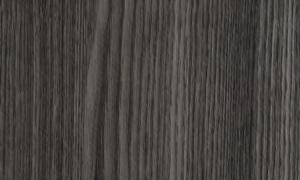  EvoGloss P306  