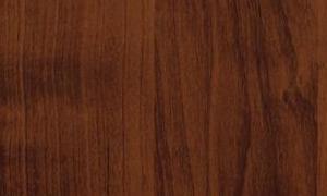   EvoGloss P307  