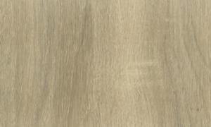   EvoGloss P313  