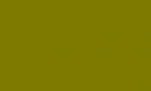   EvoGloss P645   